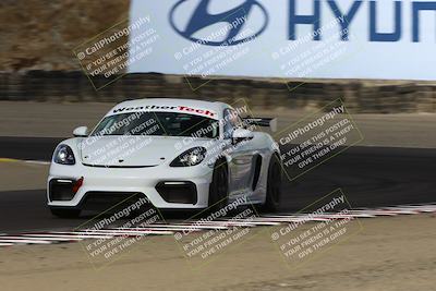 media/Aug-23-2024-Speed Ventures (Fri) [[92f1efc5e7]]/Red/Session 1 (Turn 3)/